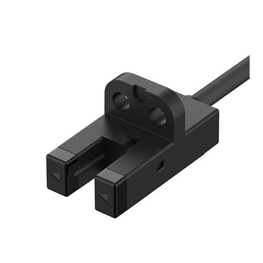 BS5-V1R-P